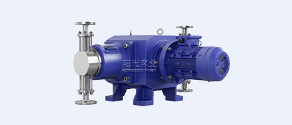 DZ-D2型柱塞式計(jì)量泵