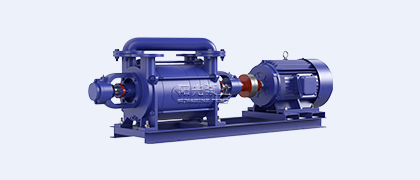 2SK型水環(huán)式真空泵