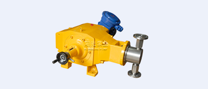 DZ-T型柱塞式計(jì)量泵