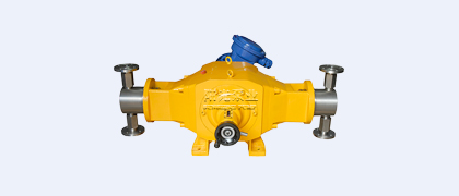 DZ-T2型柱塞式計(jì)量泵